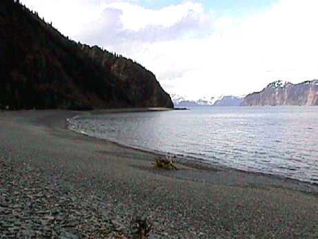 Fox Island (Alaska)