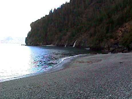 Fox Island (Alaska)